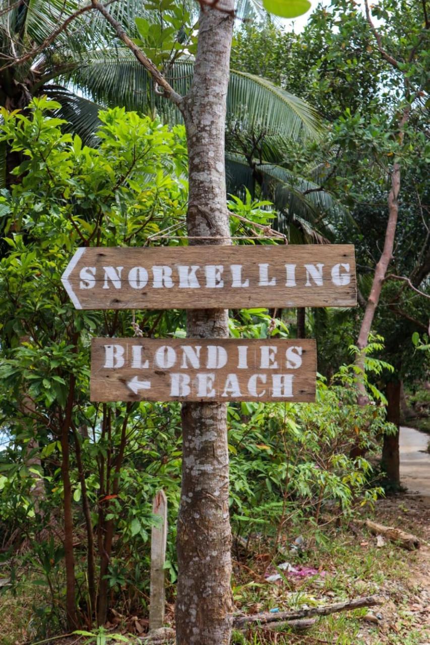 Blondies Koh Rong *